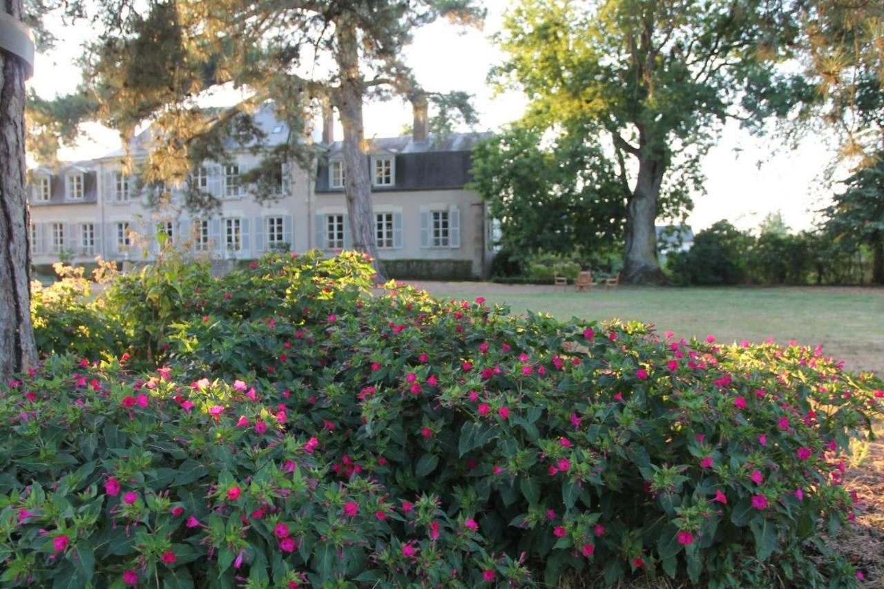 Colivault Bed & Breakfast Candé-sur-Beuvron Екстериор снимка