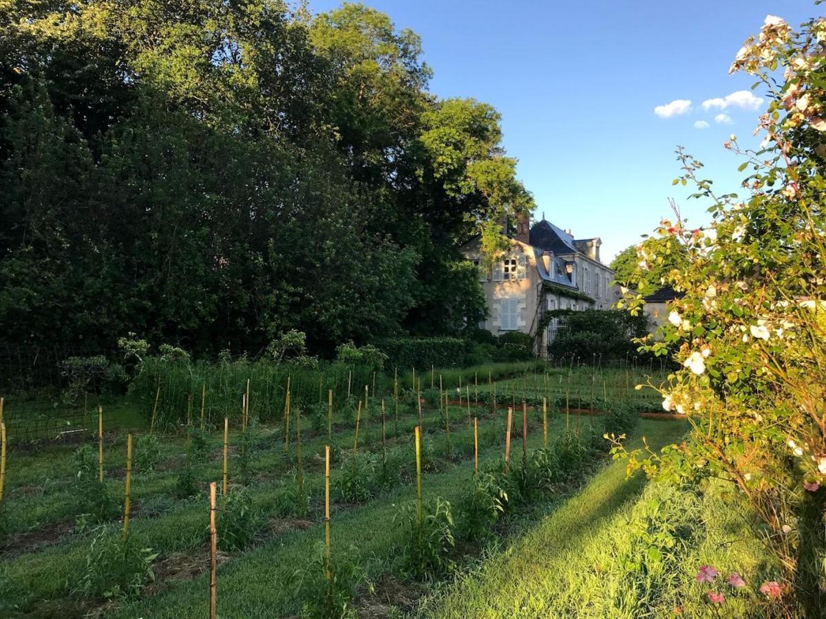 Colivault Bed & Breakfast Candé-sur-Beuvron Екстериор снимка